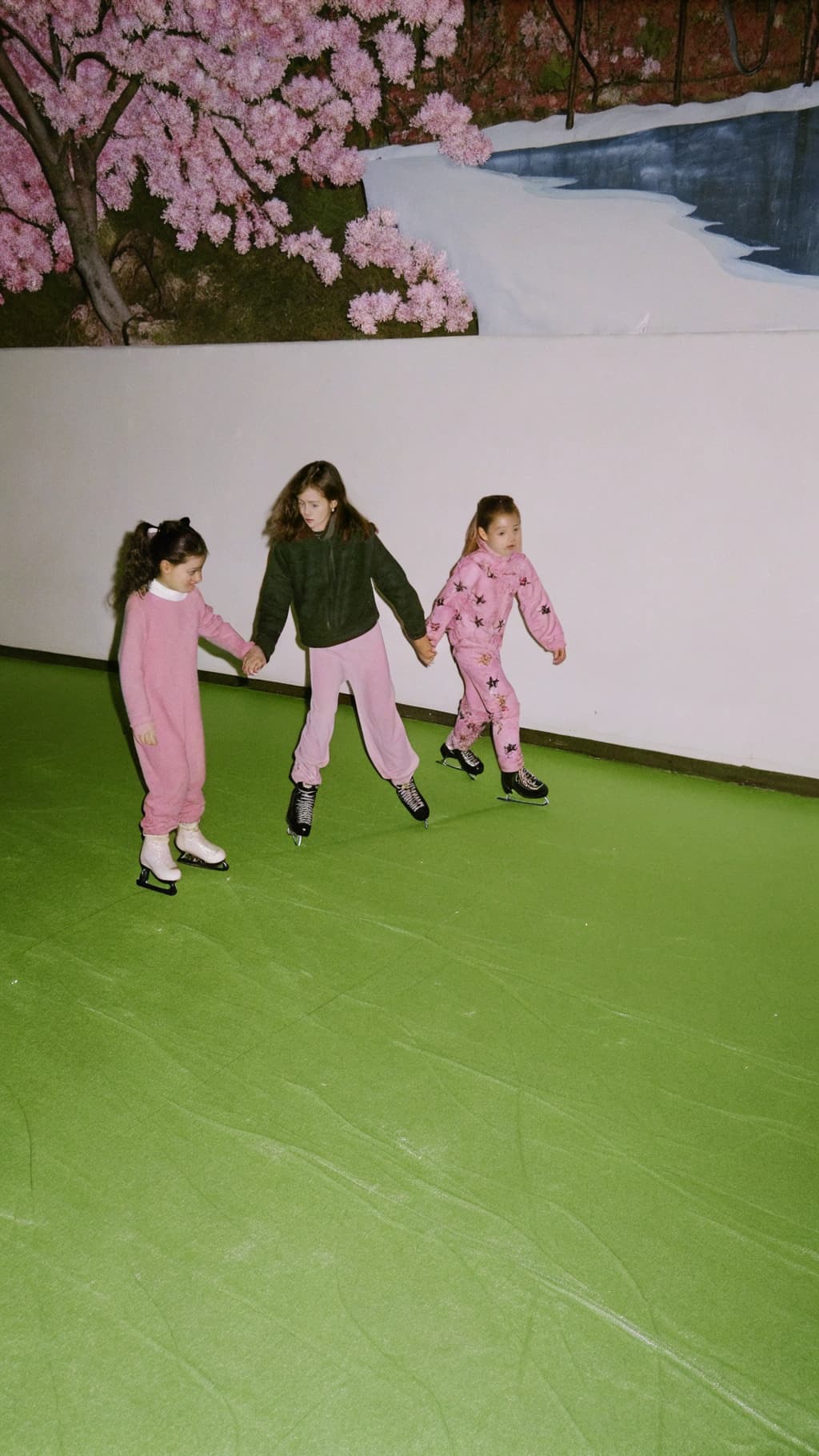 De Snelle Eend Schaatsbaan